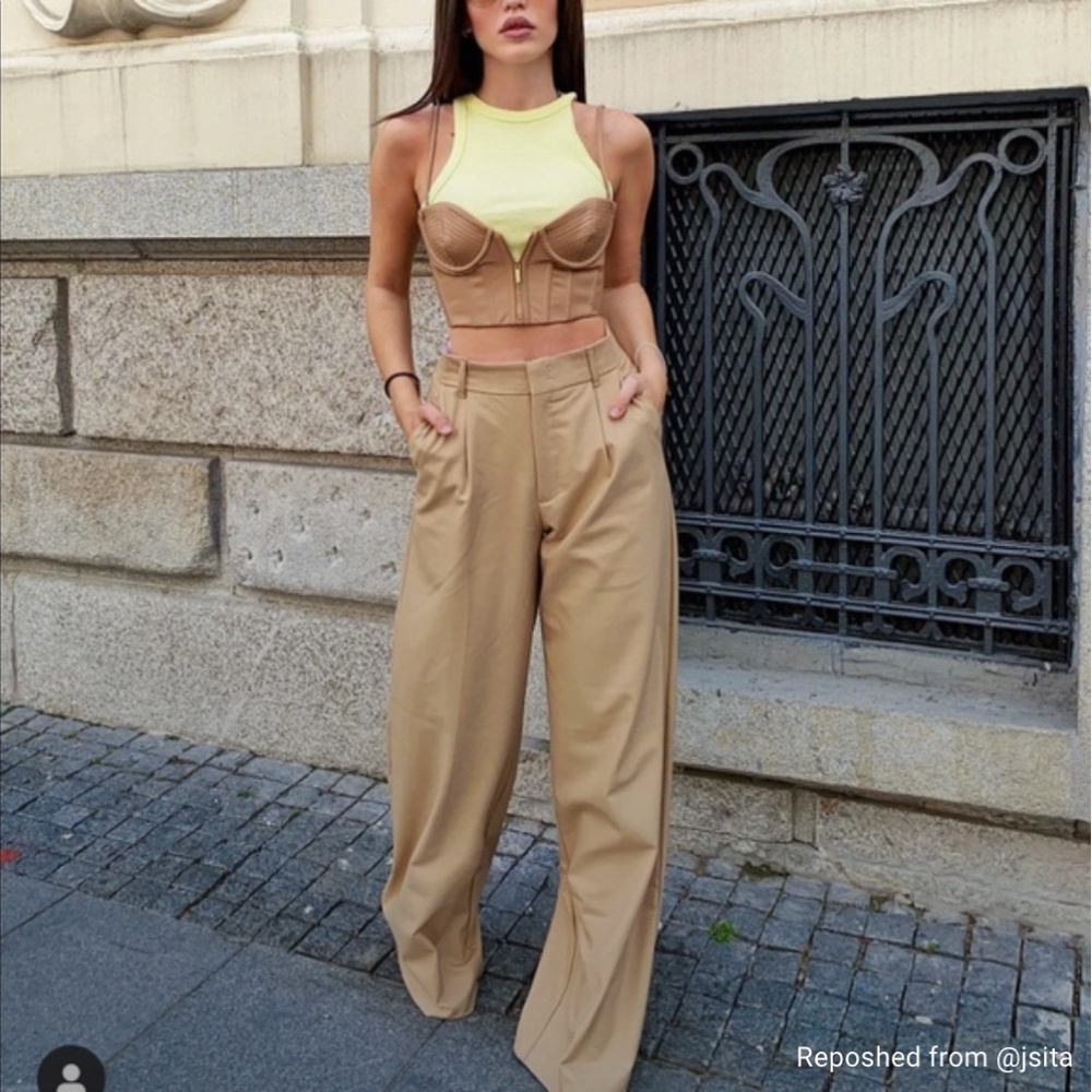 Zara wide leg pleated pants/trousers